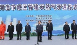 河池爆料新颖新闻视频,揭秘河池最新爆料视频背后的故事